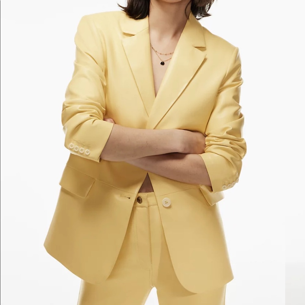 Aritzia Memories Blazer